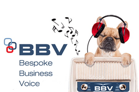 Bespoke Business Voice