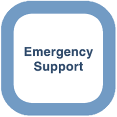 Emergency Support Services
