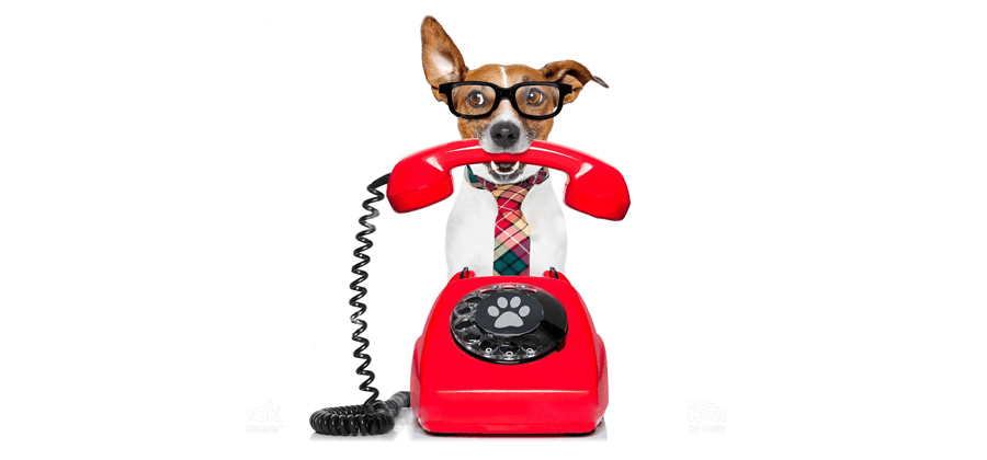 Why a 0800 Freephone Number is better than any landline number to use for your business