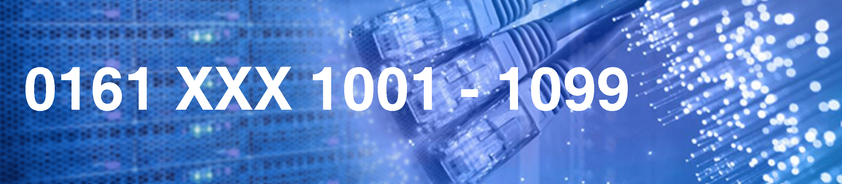 ISDN circuit with DDI Range